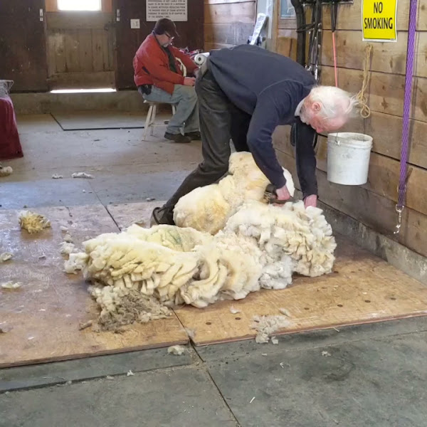 Signal Rock Farm photo 3