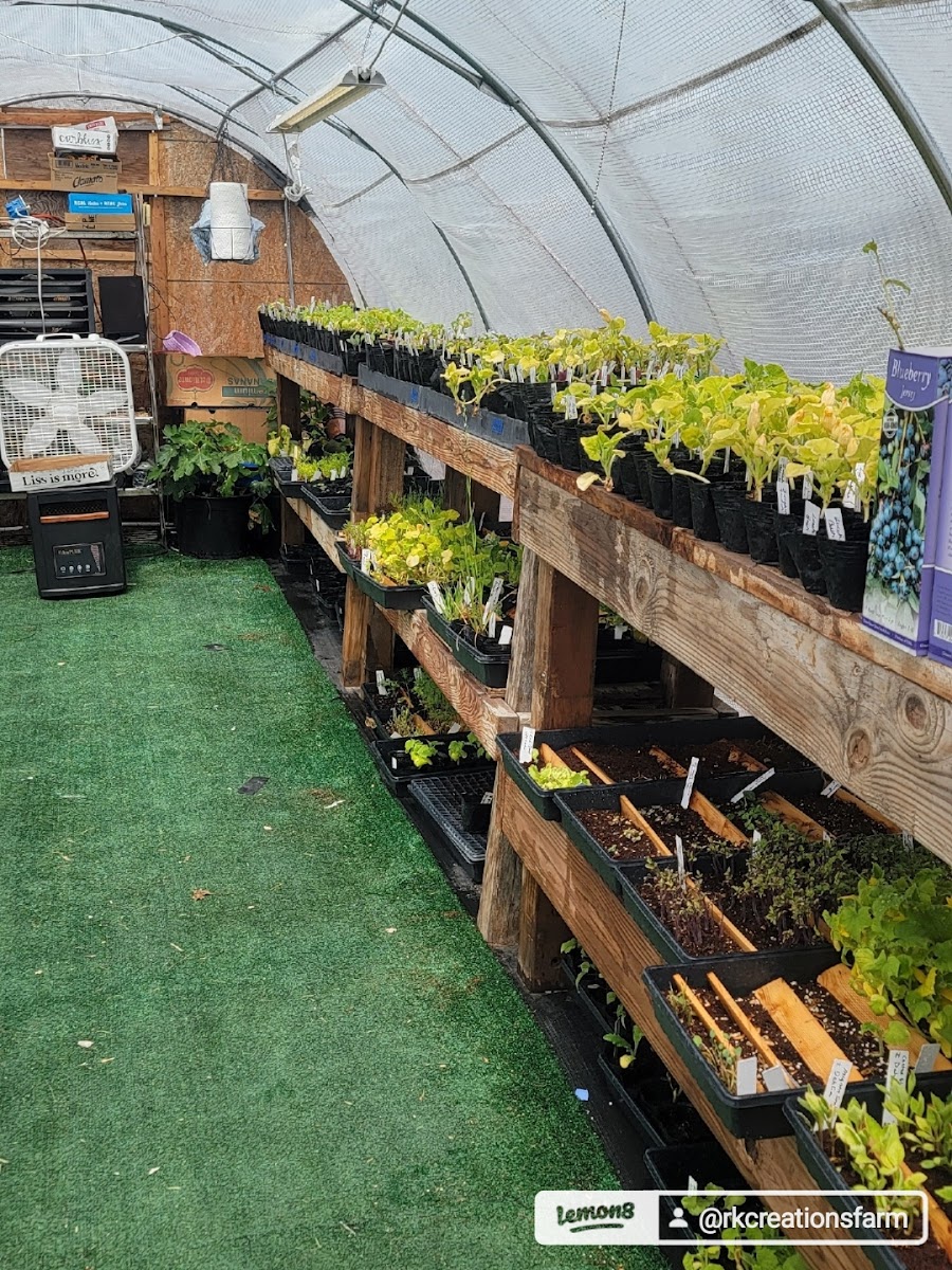 RK Creations Farm photo 2