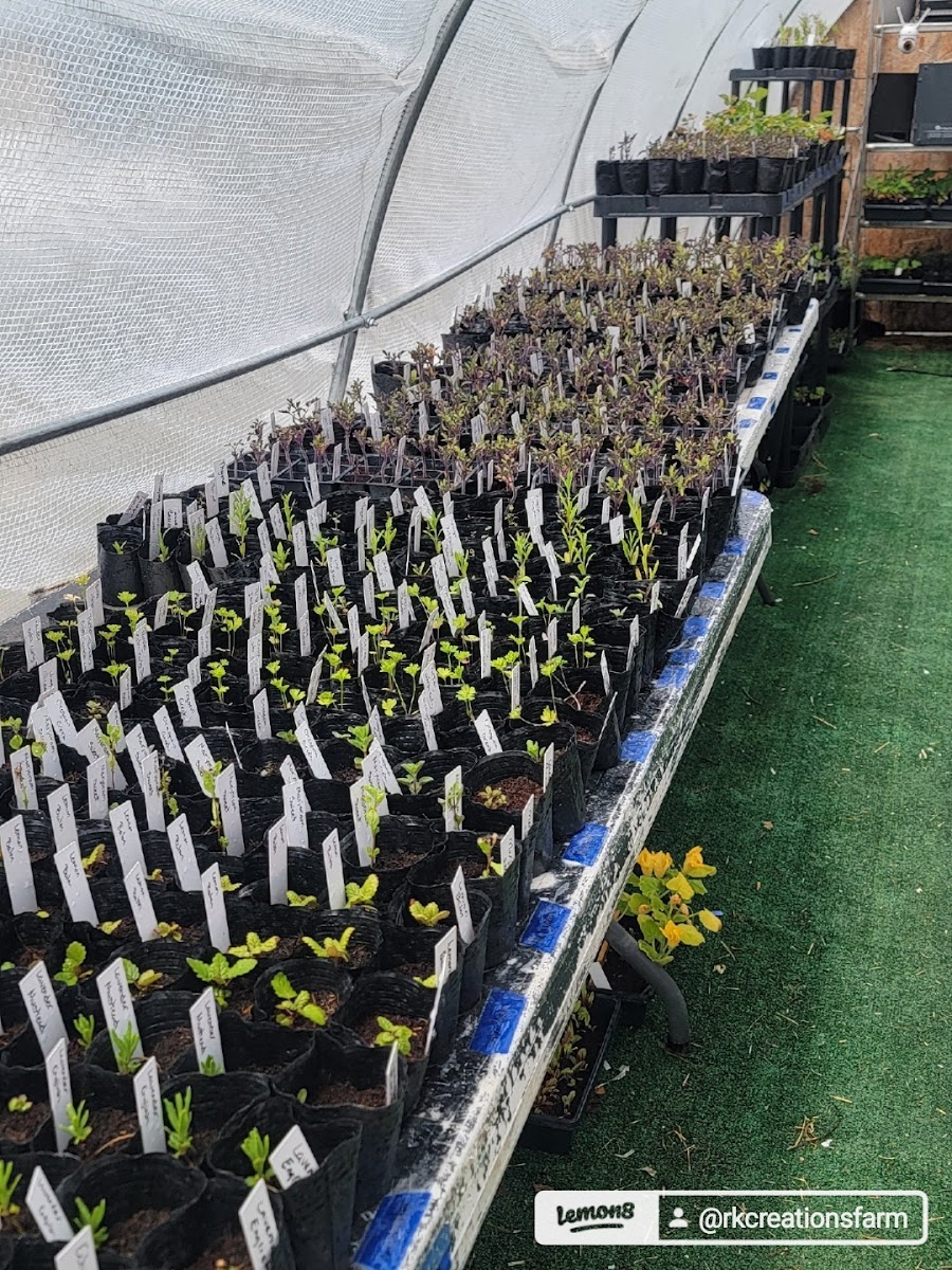 RK Creations Farm photo 3