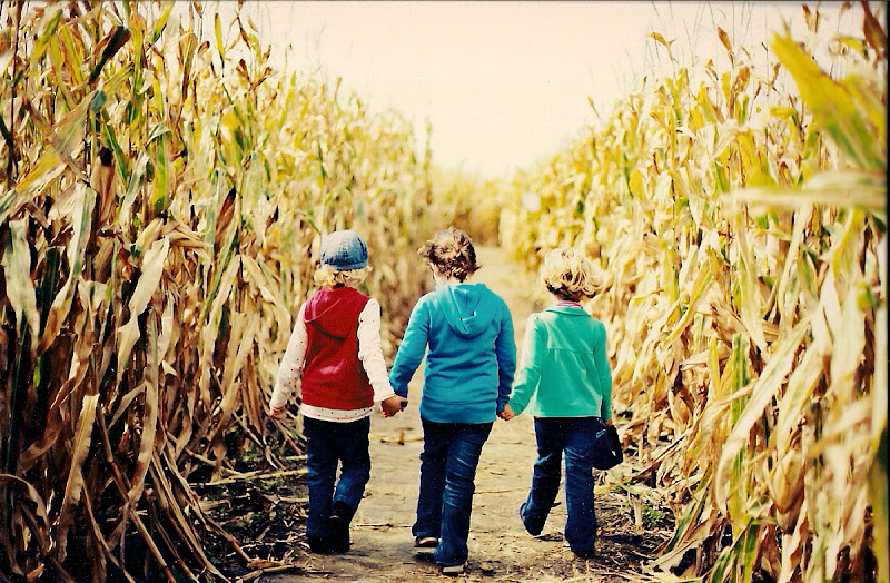 Tuttle Orchards photo 2