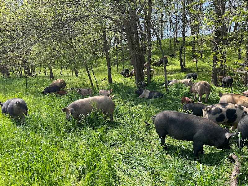 Farrar Family Farm photo 2