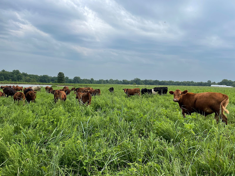 Farrar Family Farm photo 3