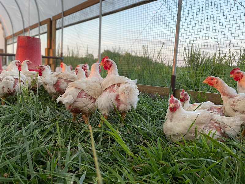 Farrar Family Farm photo 4