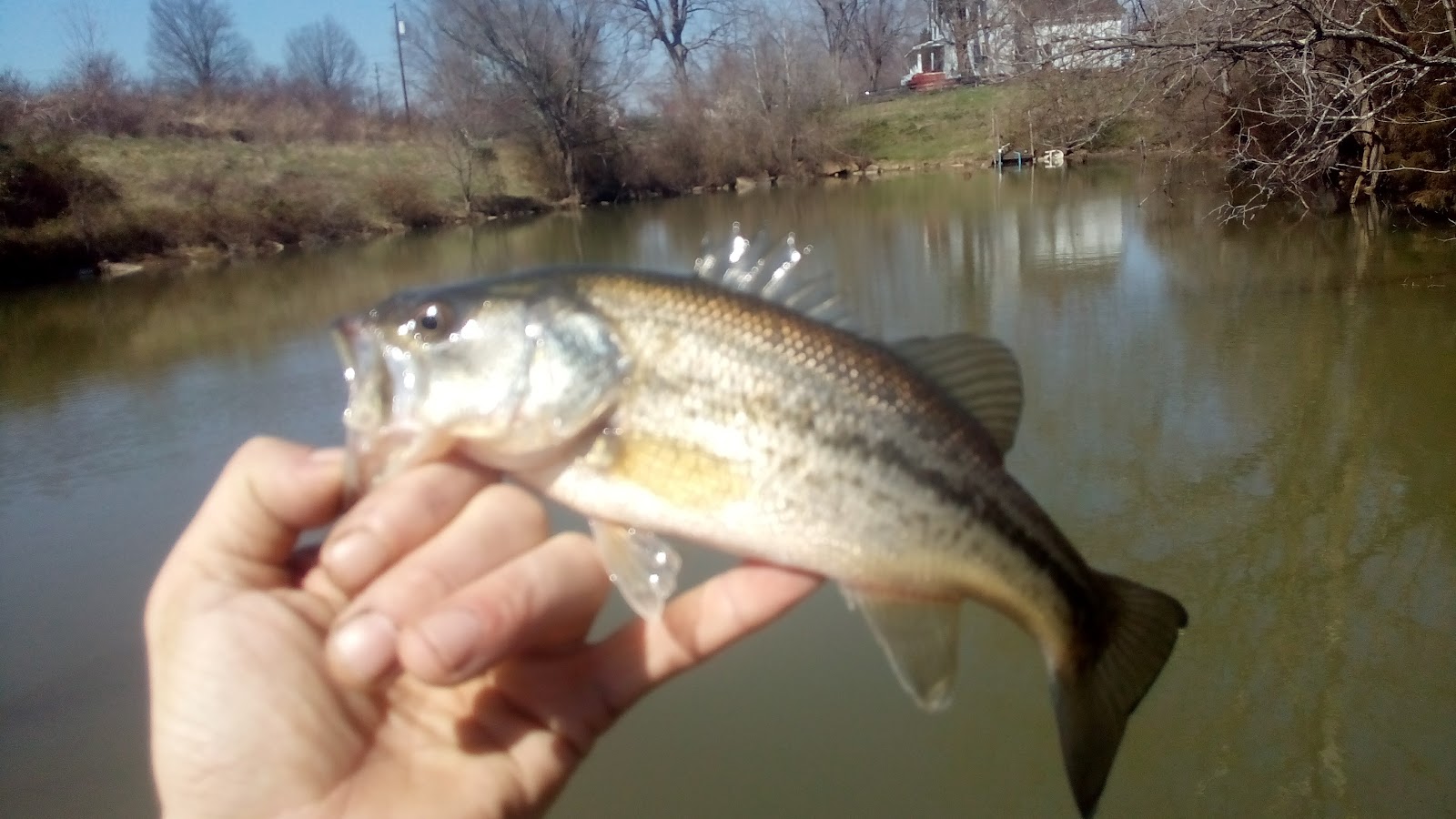 Marcum Farms photo 2