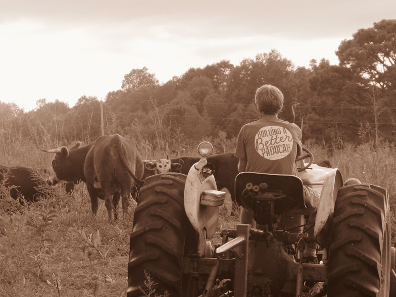 Grimes Family Farm photo 3