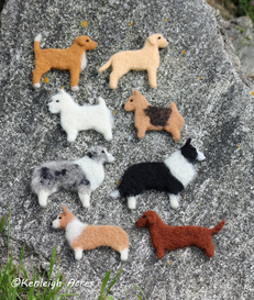 Kenleigh Acres photo 20