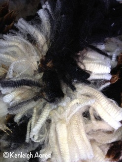 Kenleigh Acres photo 21