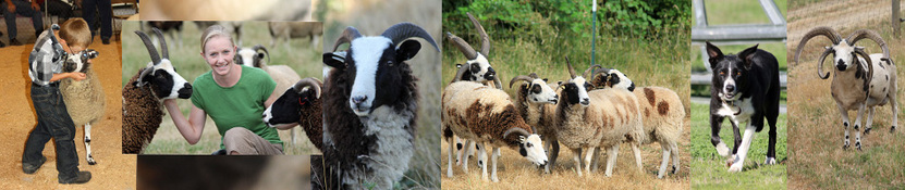 Kenleigh Acres photo 23