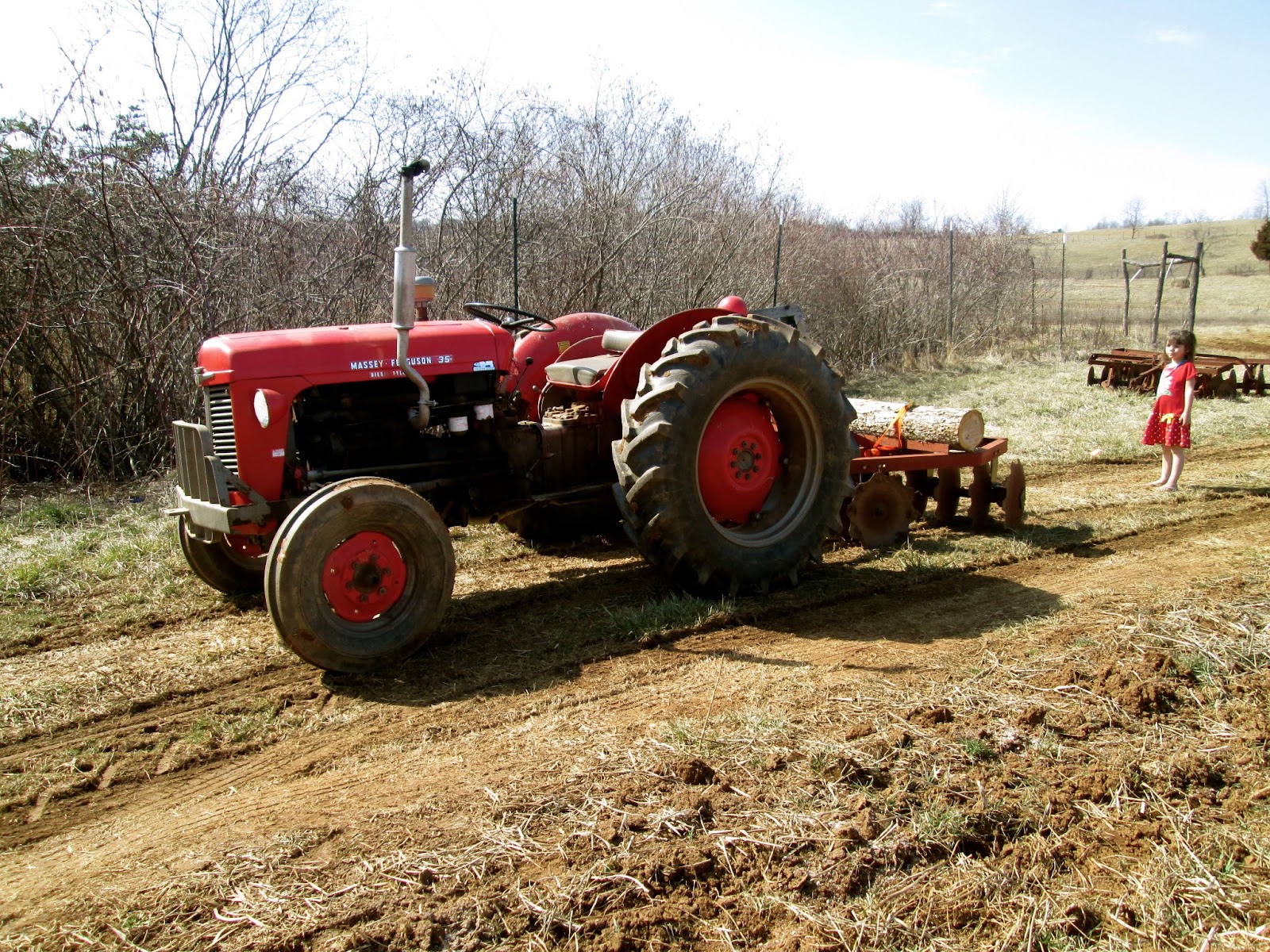 Black Sheep Family Farm photo 2