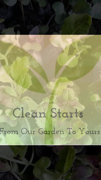 Bain Home Gardens photo 7
