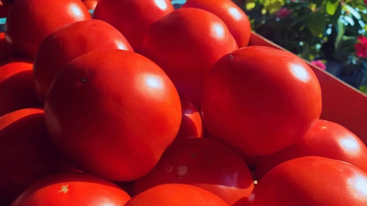 Farmers Market of Grapevine photo 8