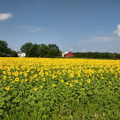 Fresh Aire Farms photo 6