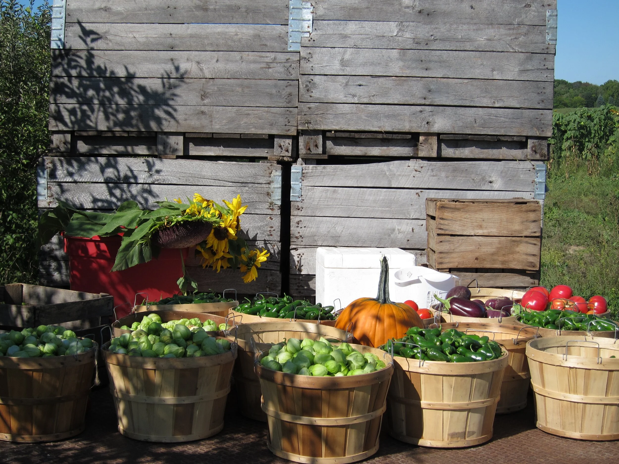 Earth First Farms photo 2