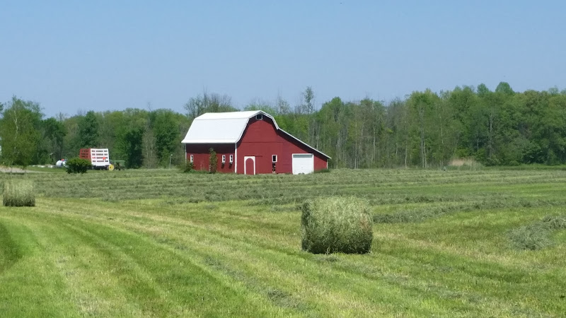 Michigan Grass Fed Beef