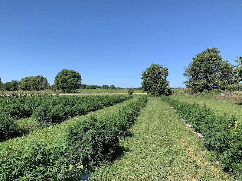Truest Taste Farm