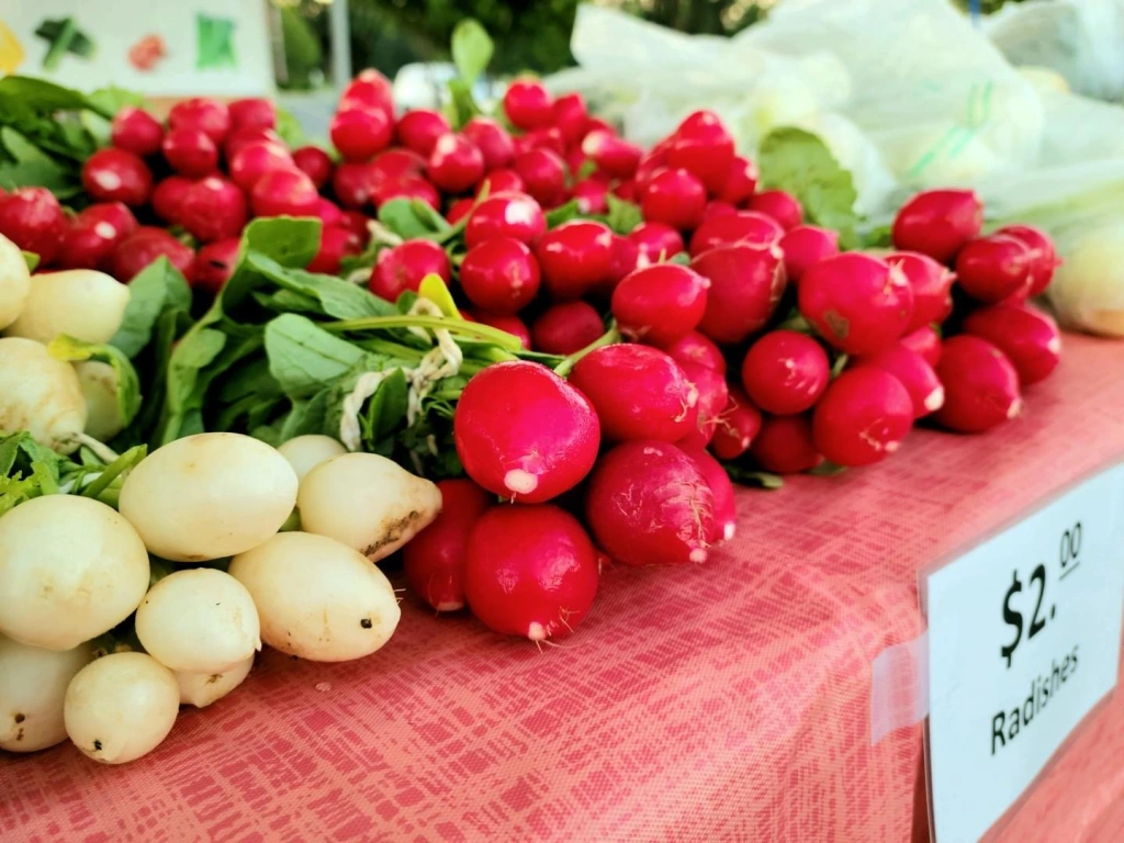 Conway Farmers Market