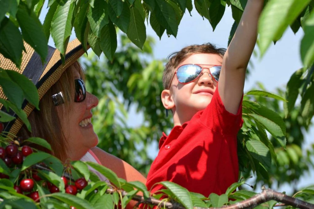 Monroe's Orchard & Farm Market, LLC