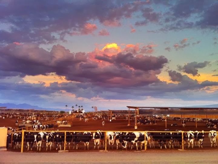 Superstition Farm photo 2