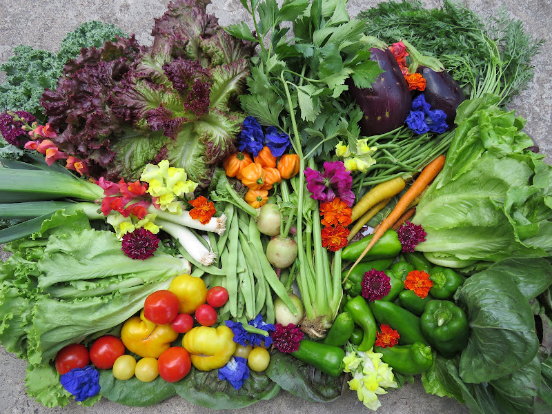 Shadowood Farm, Inc.