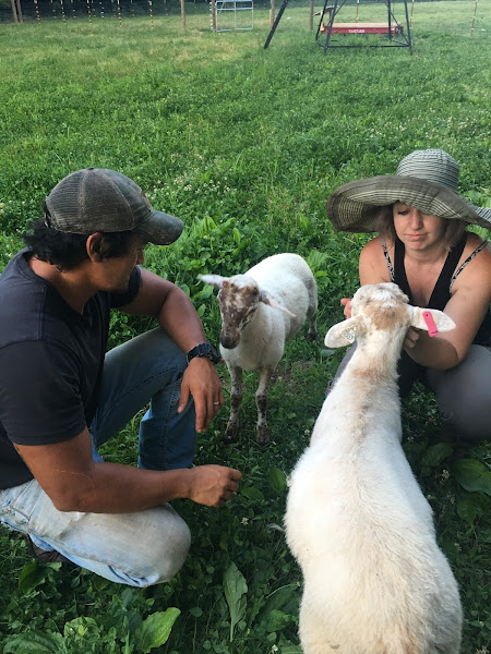 Hidden Holler Farms photo 3