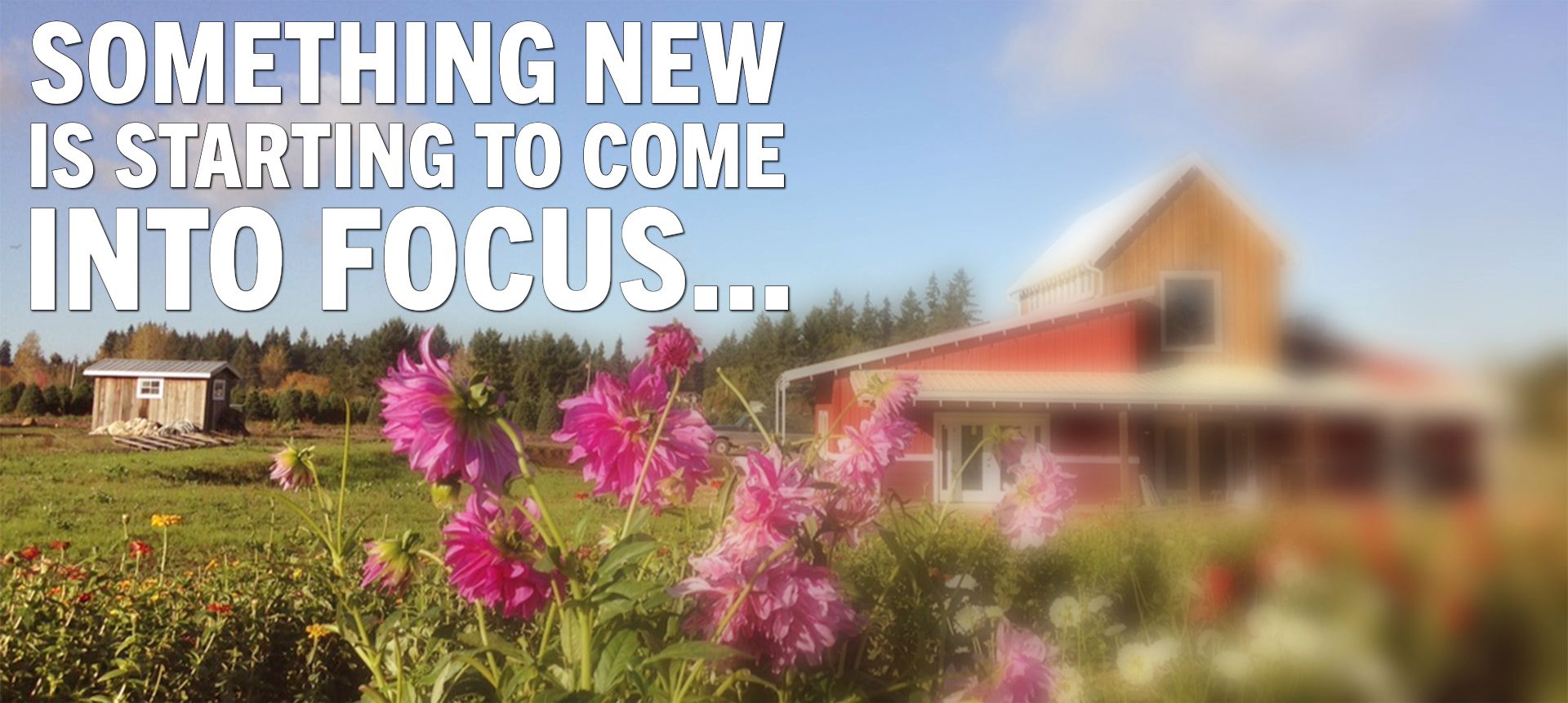 Our Table Cooperative