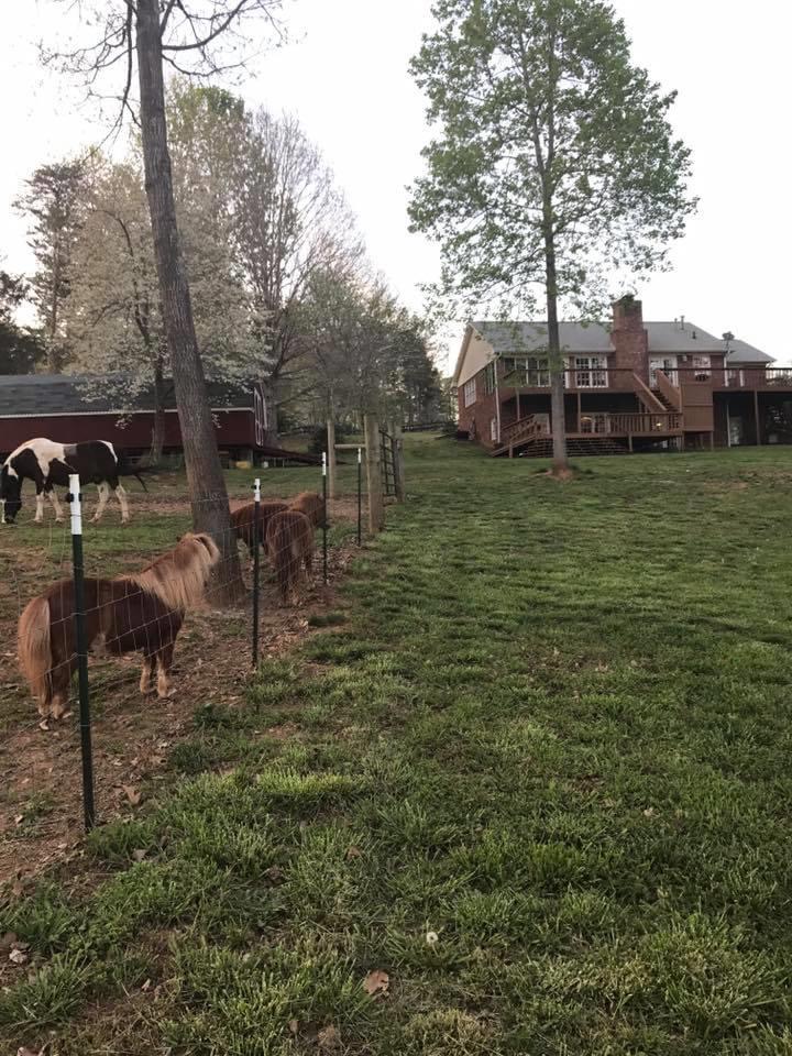 Promise Land Farm photo 2