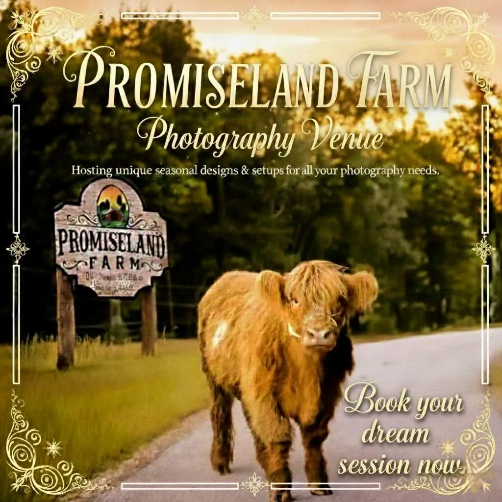 Promise Land Farm photo 3