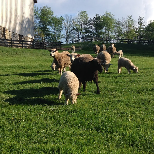 Cultivale Farm