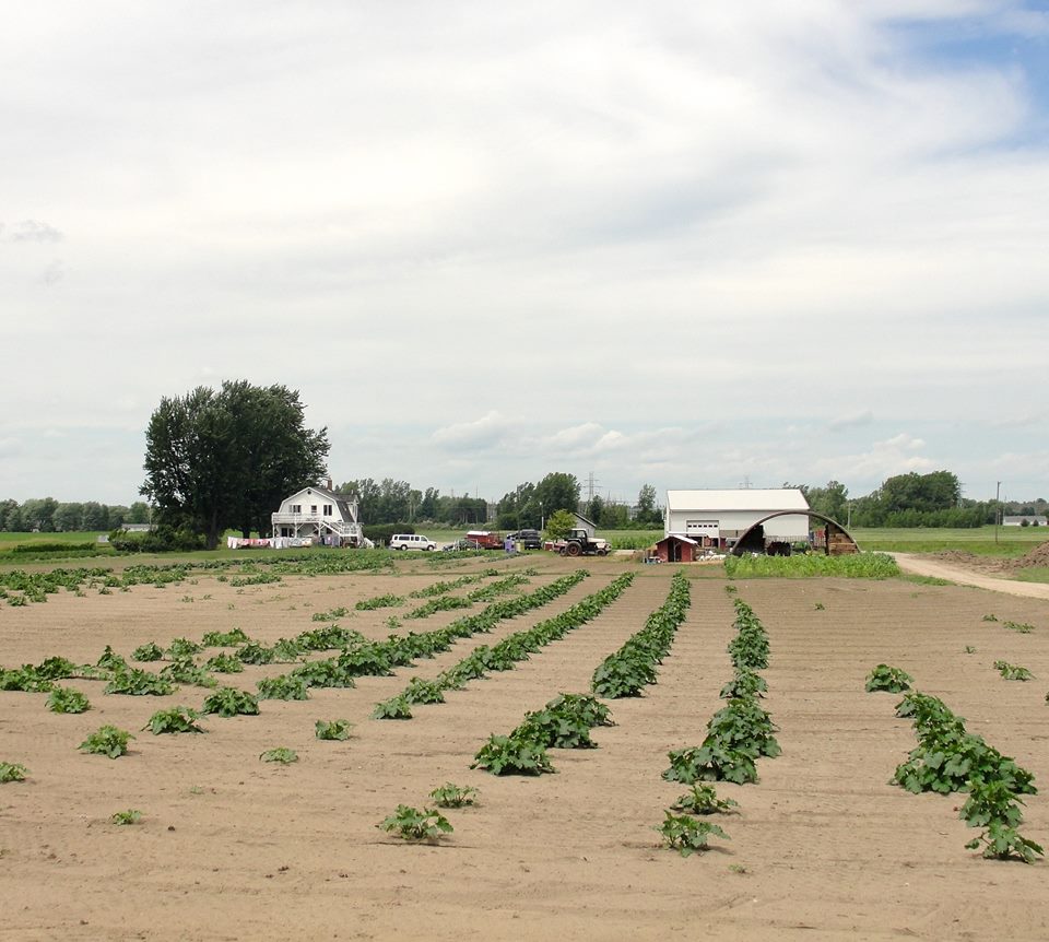 Cook's Choice Produce LLC photo 2