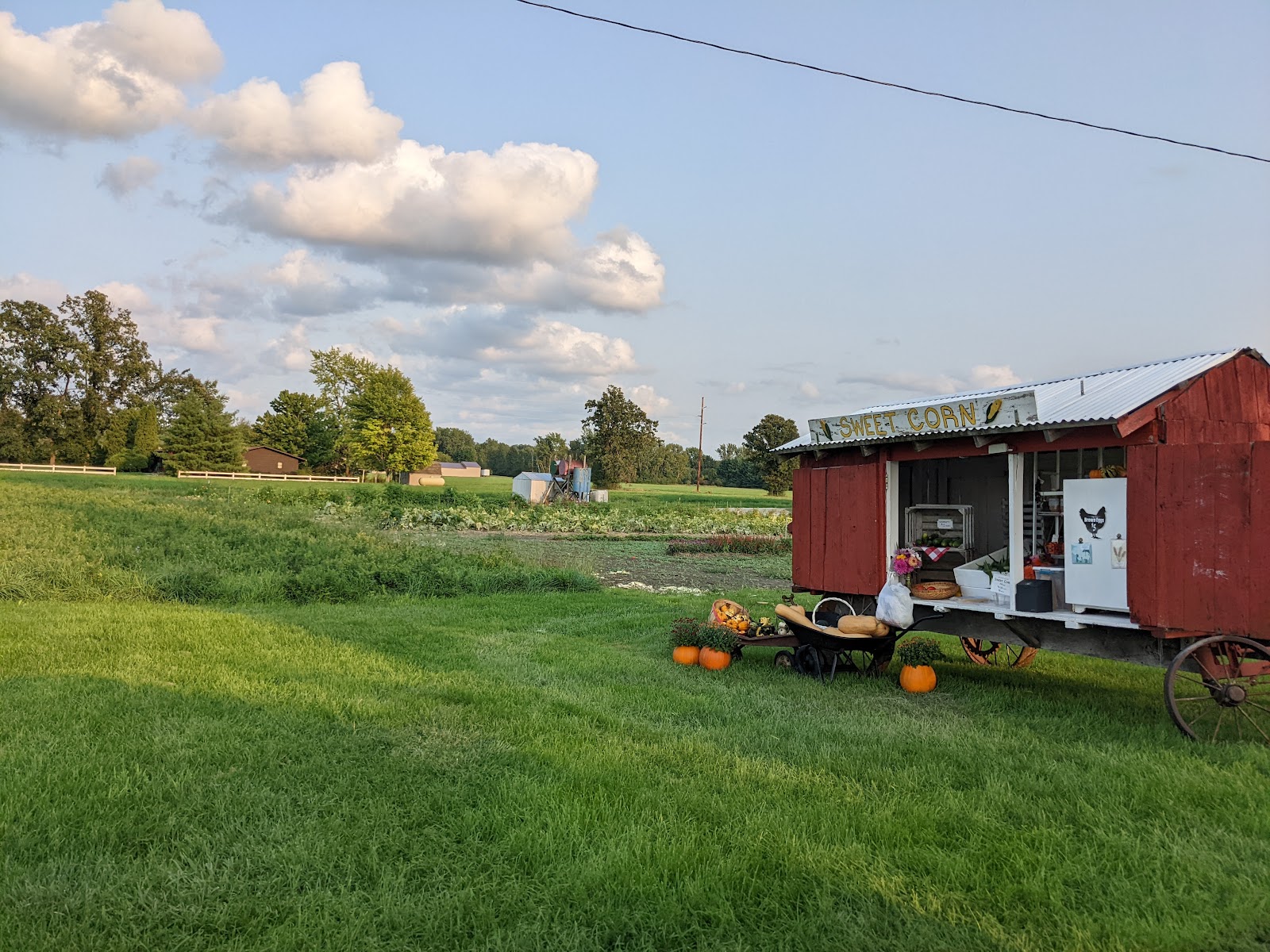 Cook's Choice Produce LLC photo 3