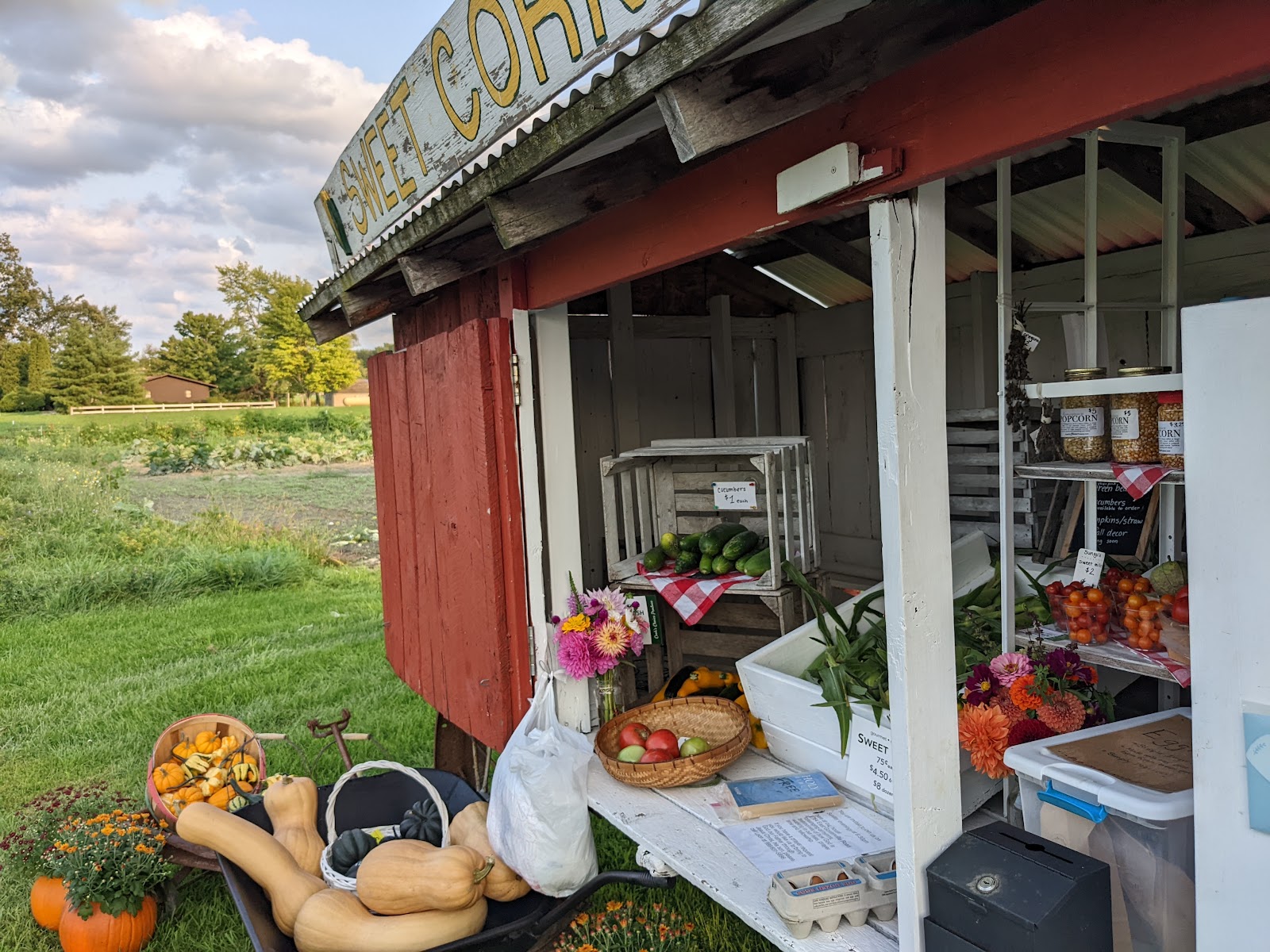 Cook's Choice Produce LLC photo 4