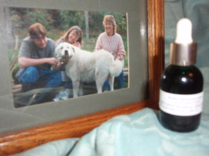 Sassy Springs Farm / Herbal Products photo 5