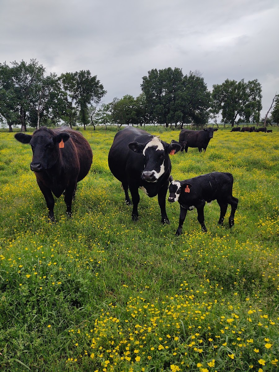 Prier Farms Grassfed Beef #0389 photo 3
