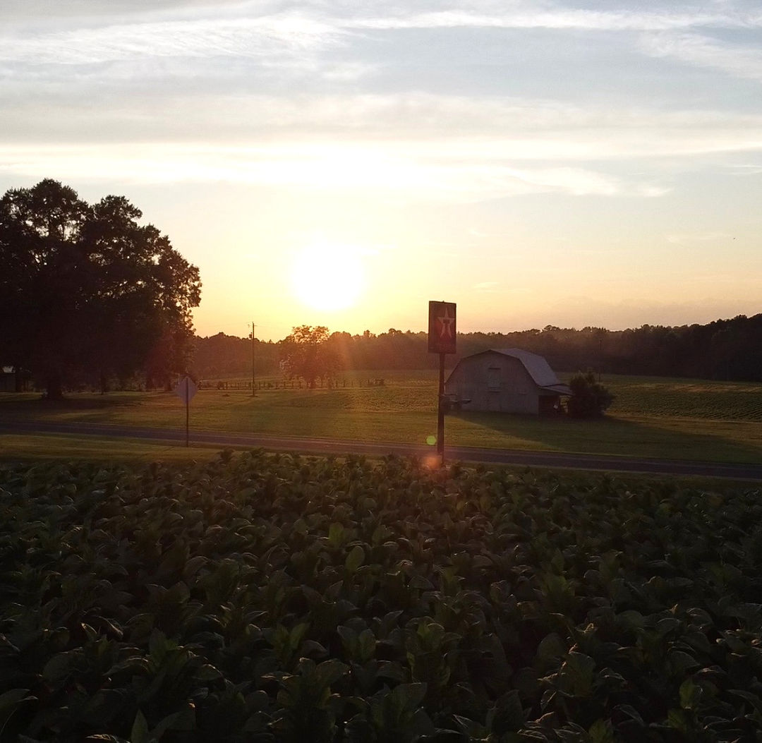 Gross Farms, LLC photo 32