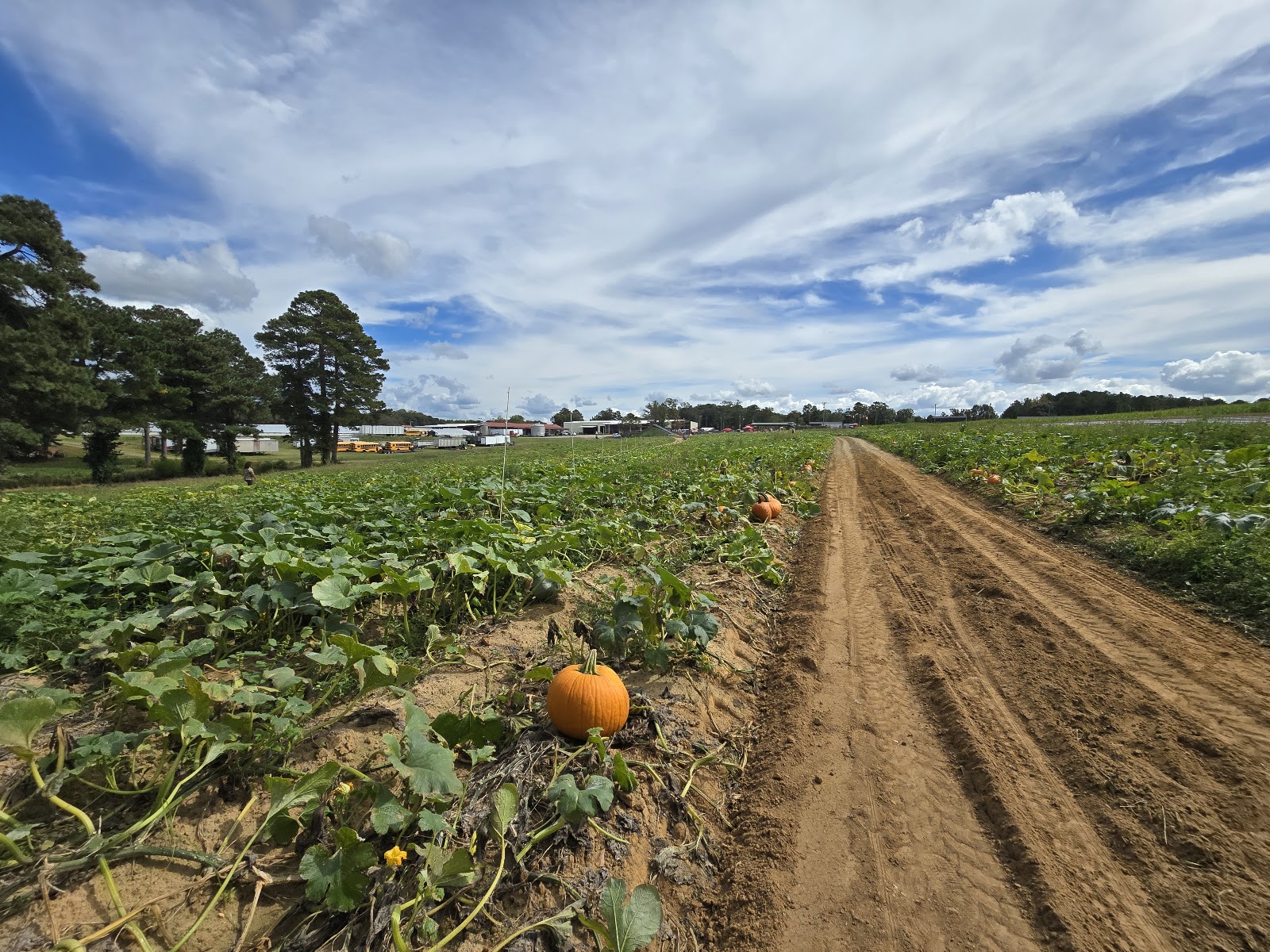 Gross Farms, LLC