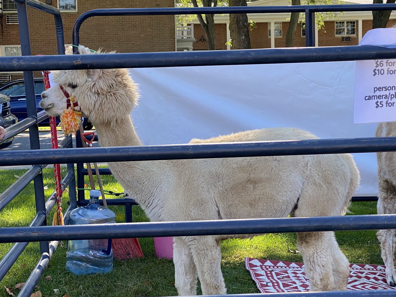 Little Falls Farmer's Market, Inc. photo 2