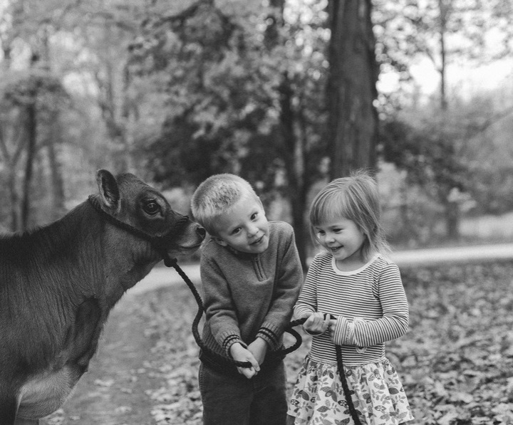 McMahon Family Farm photo 2