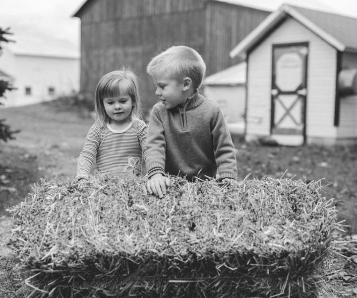 McMahon Family Farm photo 3