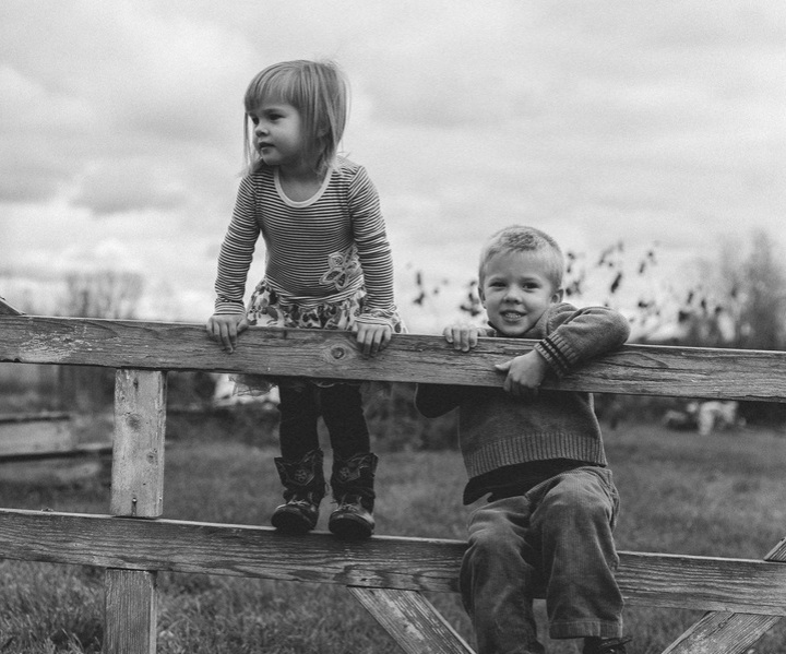 McMahon Family Farm photo 4