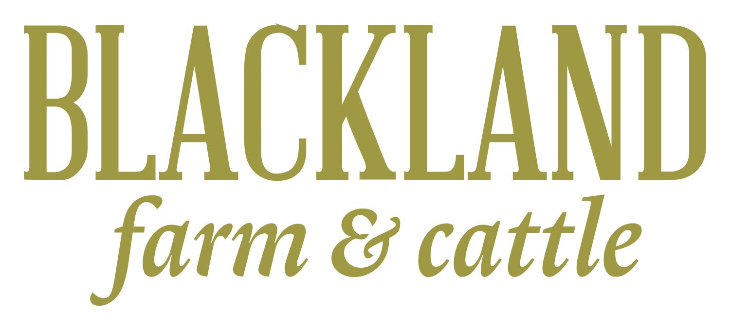 Blackland Farm & Cattle photo 6