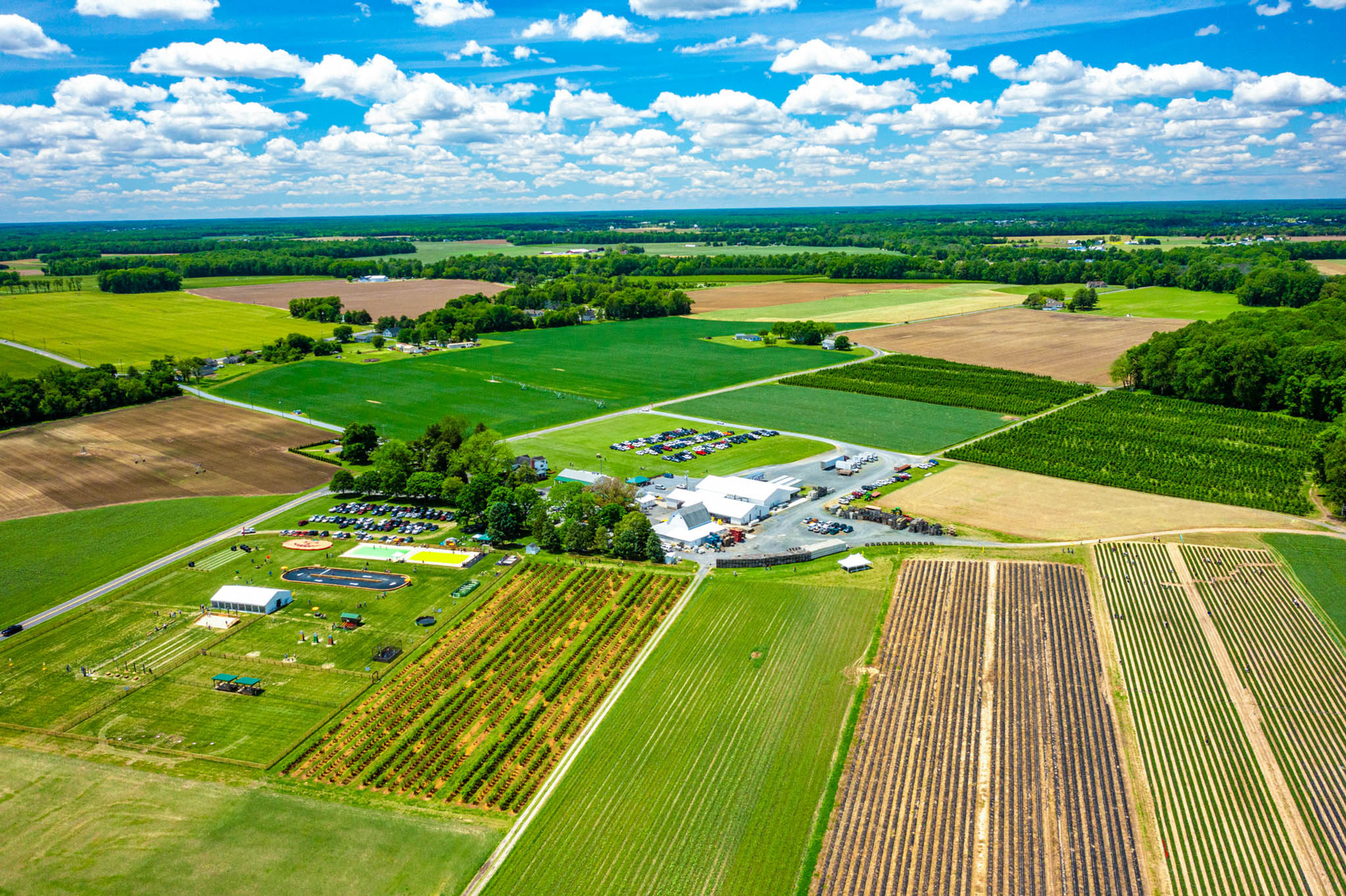 Fifer's Farm Kitchen - Dewey Beach