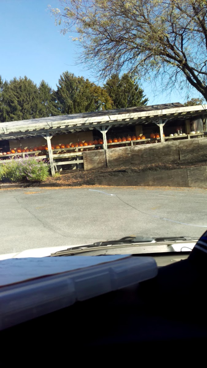 Brook Lawn Farm Market photo 2