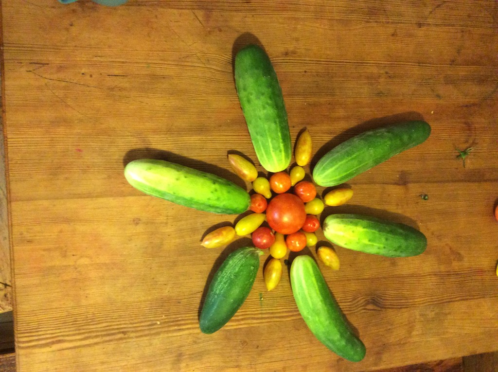 L&J orchard, Tree Farm, and Permaculture