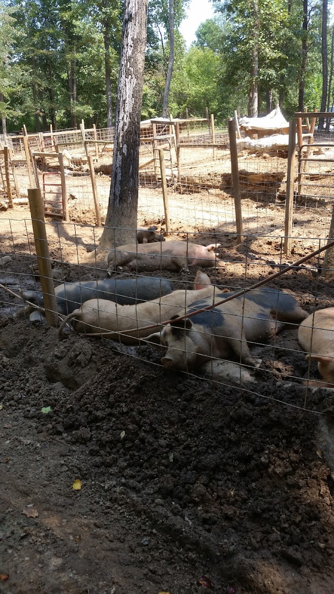 Brick House Farms
