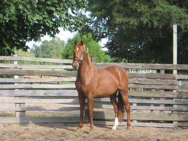 Whitehall Farms photo 2