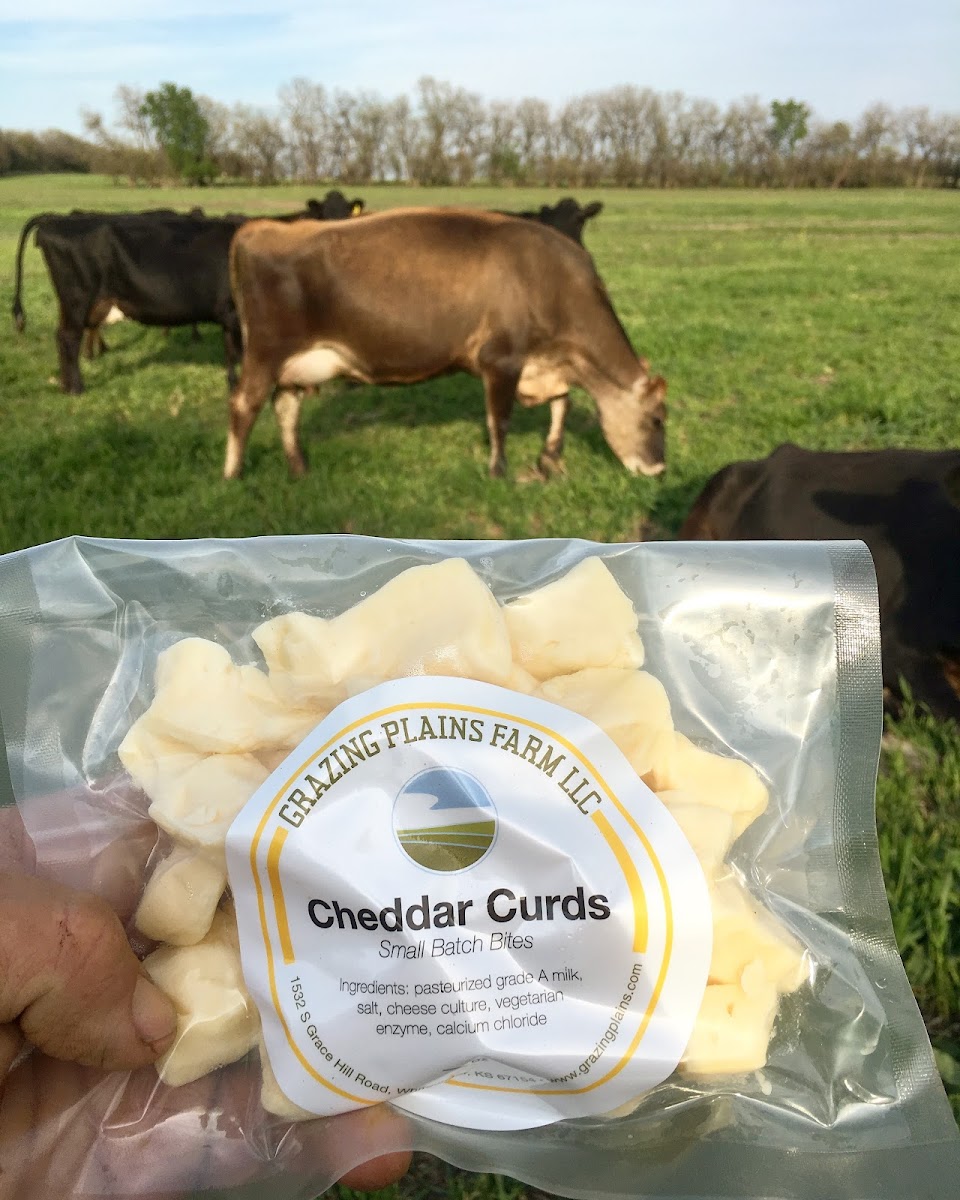 Gaeddert Farms Sweet Corn, Inc. photo 2