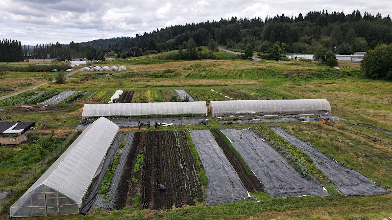Sammamish Farms photo 6