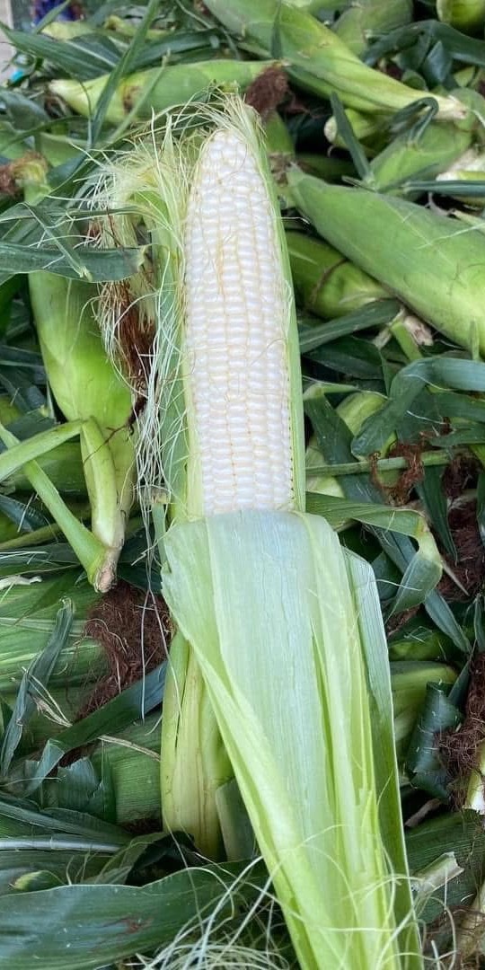 Calhoun Produce, Inc. photo 32