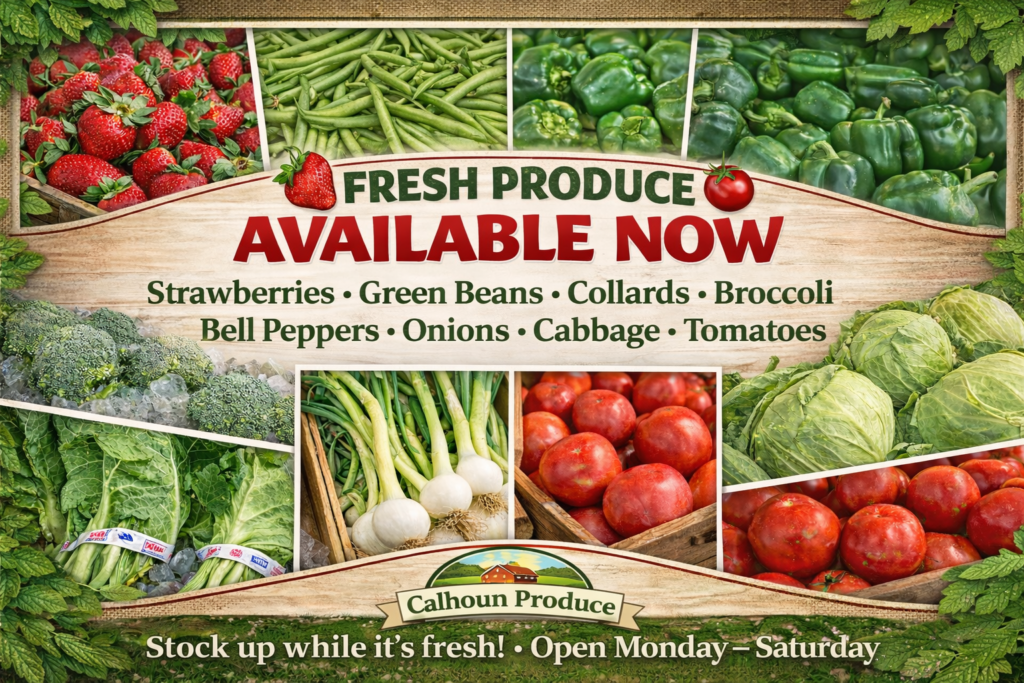Calhoun Produce, Inc. photo 29