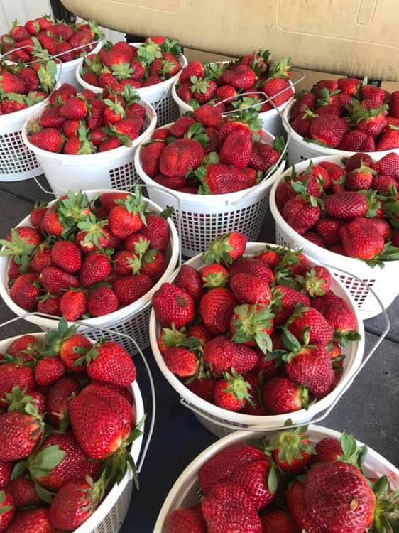 Calhoun Produce, Inc.